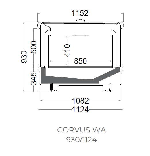 corvuswa